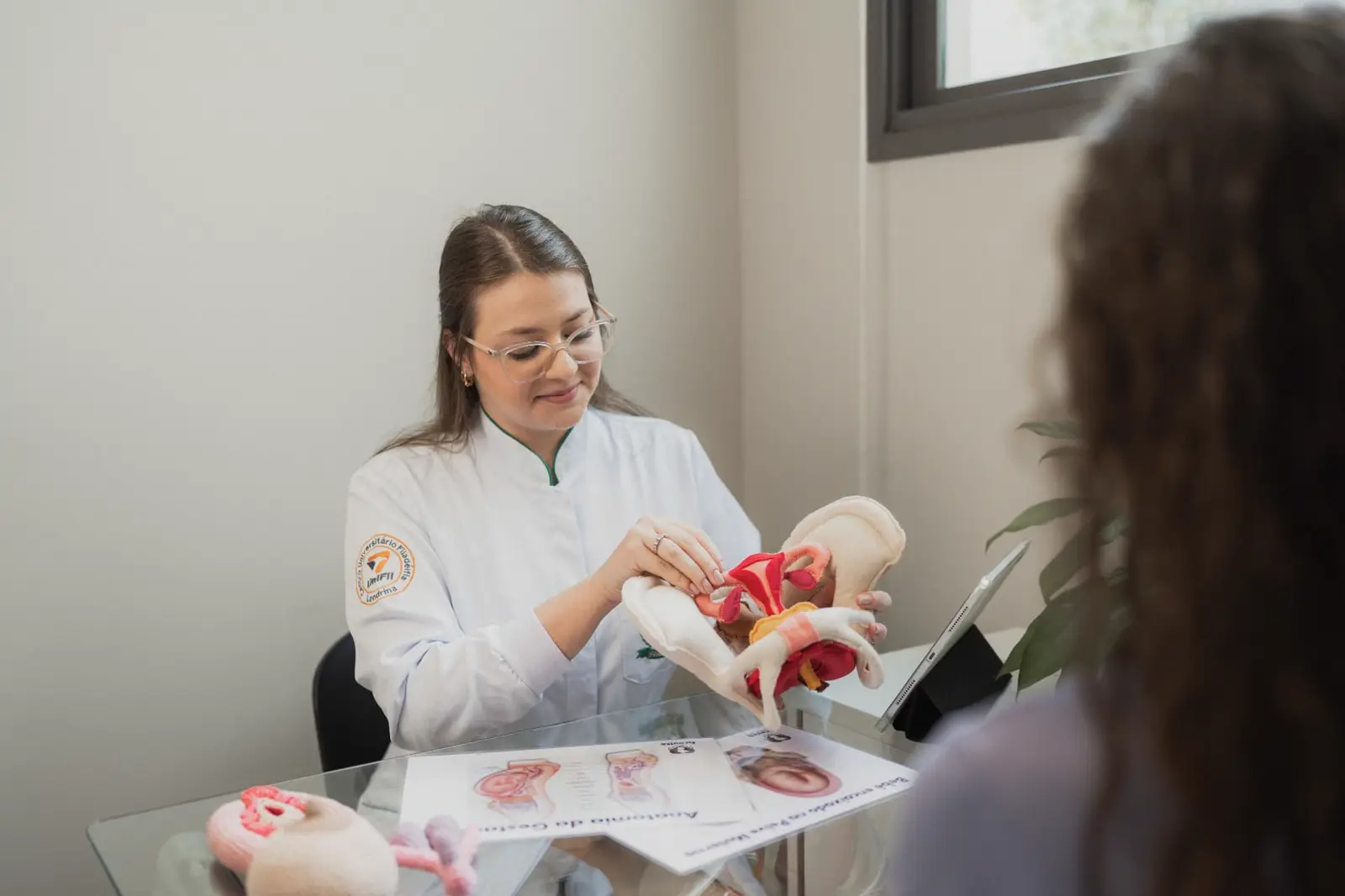 Fisioterapia pélvica